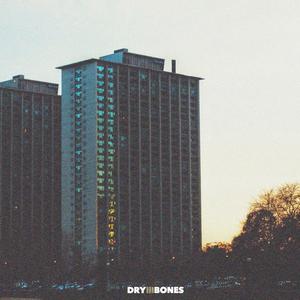 DrylllBones 1: Zone EP