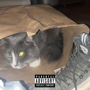 MERLIN (feat. Dà¥ránt) (Explicit)