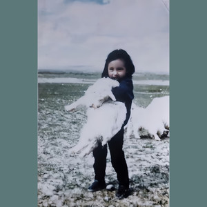 任苒251314 - Rain and tears LOVE