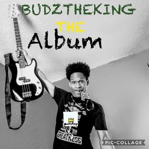 Budztheking the Album