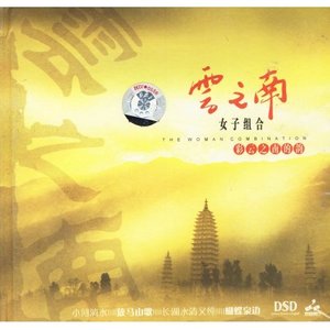 月光下的凤尾竹