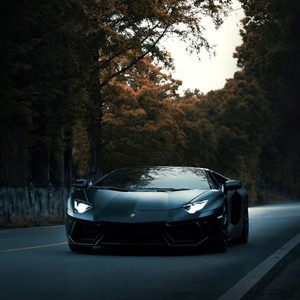 DJ冰心 - 爱你至死不渝 (氛围版)