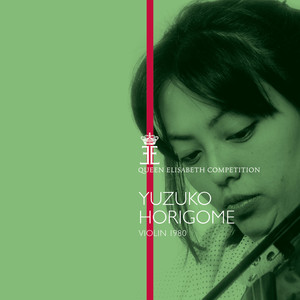 Violin Concerto in D Minor, Op. 47 - I. Allegro moderato