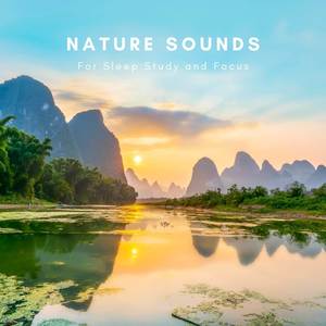 Nature Sounds for Sleep Study and Focus