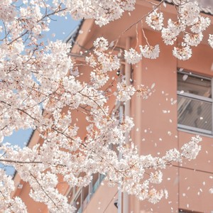 River Flows In You (唯美钢琴版|翻奏: 伊乔)