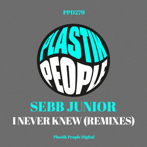 I Never Knew (Nikita Kovalev Remix|Remixes)
