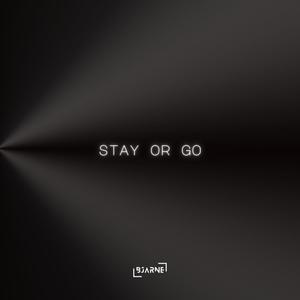 Stay Or Go