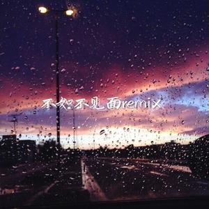 梁老师Tsong-不如不见面Remix (陈嘉禧JIAXI / 幽幽2U remix)