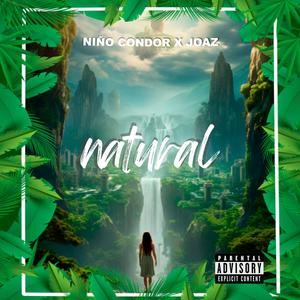 Natural (Explicit)