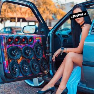 ARROCHA BONDE DO TIGRÃO (feat. MC 26 Original & MC Neguim FR) (Explicit)