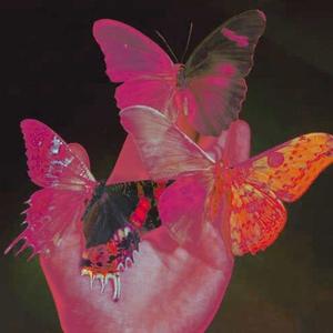 想送你一瓶好喝的汽水