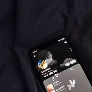 杀死那个石家庄人