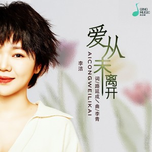 爱从未离开 (DJ默涵版) - 李婕封面