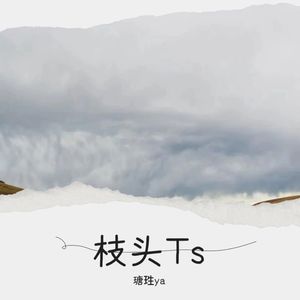 白月光与朱砂痣