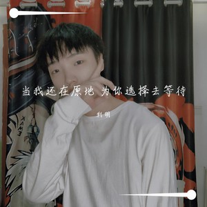 群星-当我还在原地为你选择去等待 (利明 remix)