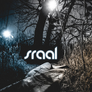 A Wolf In The Distance