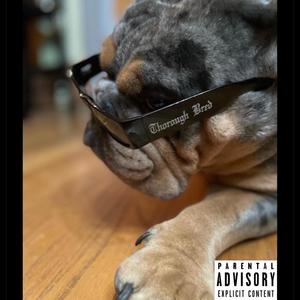 Dog water (feat. Scatz) [Explicit]