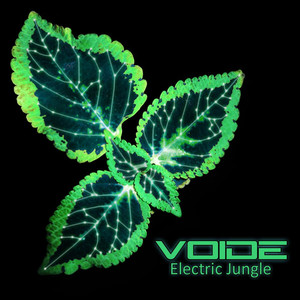 Electric Jungle