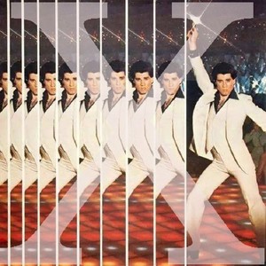 你 是 什 么 鸟