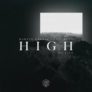 Martin Garrix-High On Life (Susan Corenelius remix)