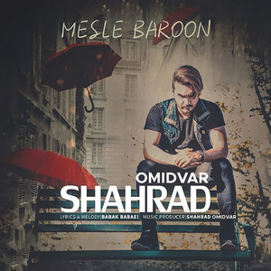 Mesle Baroon