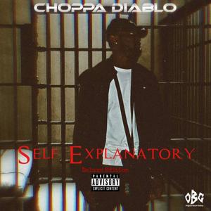 Profane Language(feat. Double Money) (Explicit)