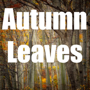 Autumn Leaves