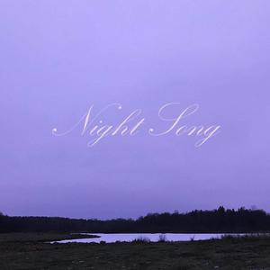 Night Song (feat. Arvid Lizell)