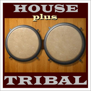 House Plus Tribal
