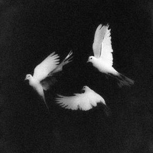 RAPTURE (Explicit)