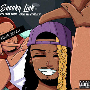 Sneaky Link (Explicit)