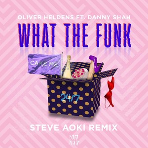 What The Funk(feat. Danny Shah) (Steve Aoki Remix)