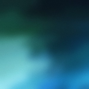 vulnerable (feat. lana puella)