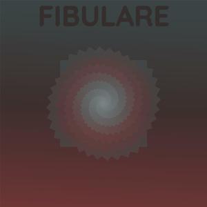 Fibulare