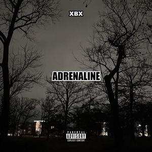 Adrenaline (Explicit)