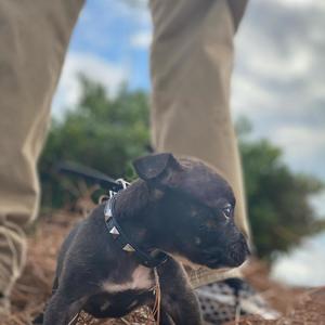 Trap Talk (Explicit)