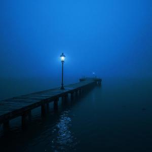 the day we forgot to leave