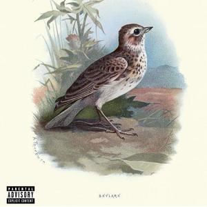 Bend It Like Beckham (Explicit)