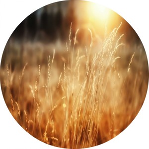 No Name (Original Mix)