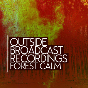 Outside Broadcast Recordings: Forest Calm