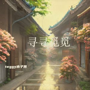 teggy木子昂 - 寻寻觅觅
