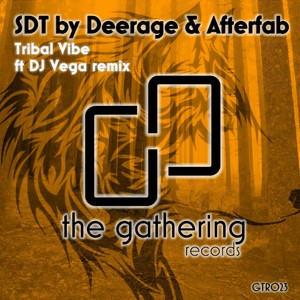 Tribal Vibe (Original Mix)