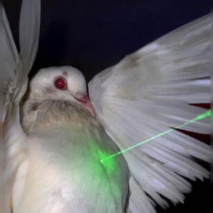 Не хотів (Explicit)