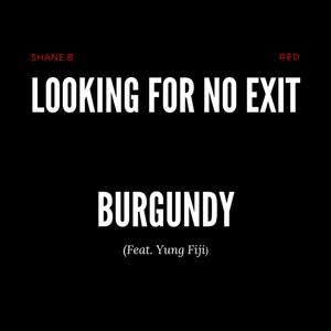Looking For No Exit/Burgundy