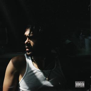 Kill the Noise (Explicit)