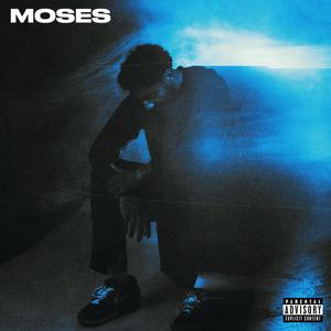 MOSES (Explicit)