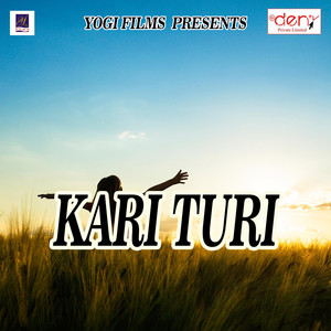 Kari Turi