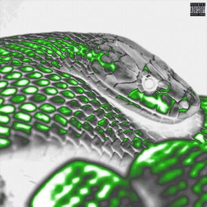 Snakes (Explicit)