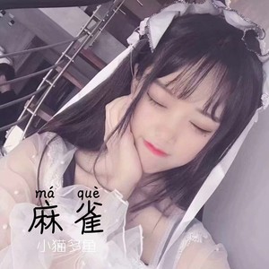 P.L.M.P (高潮版)封面