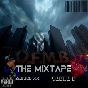 What The Pain Does (feat. Savage444 & Young V) (Explicit)